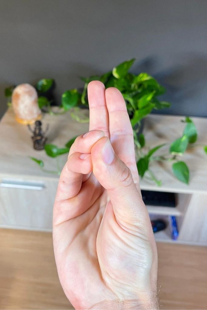 Prana Mudra